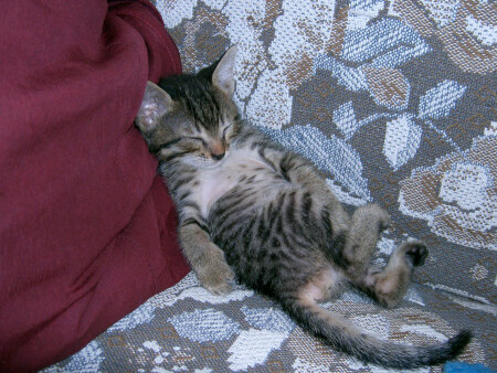 Ничто человеческое мне не чуждо...