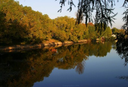Осенний пруд