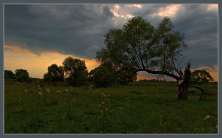 сентябрьские мотивы