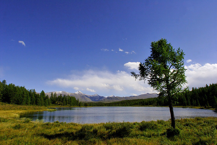 Алтай