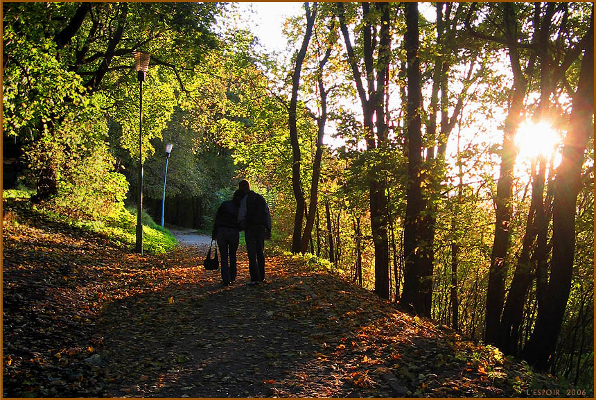 L'amour d'automne