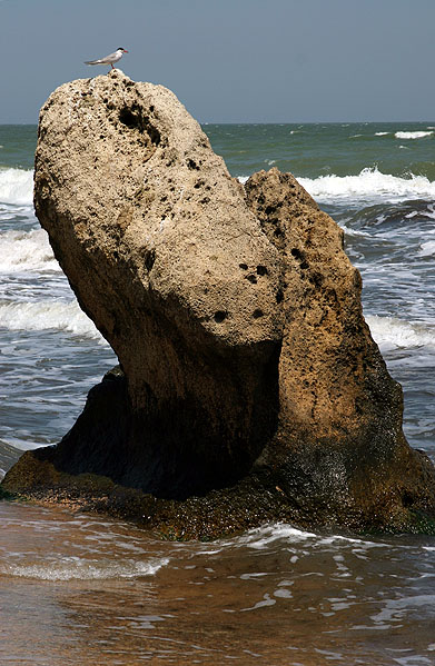 Море и камешки