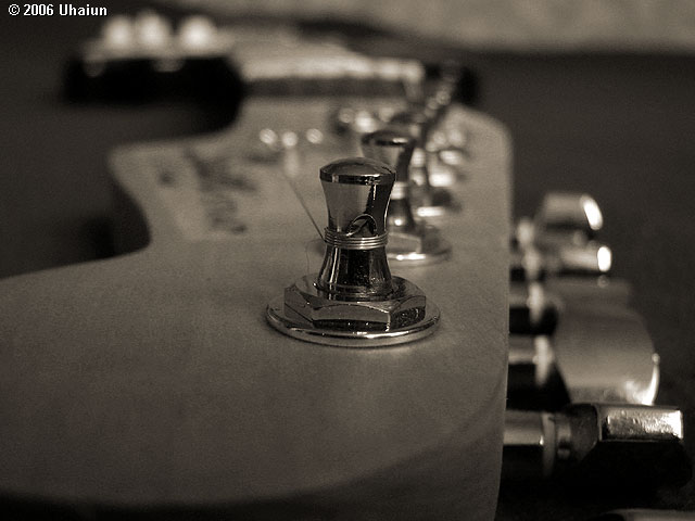 Fender