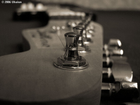 Fender