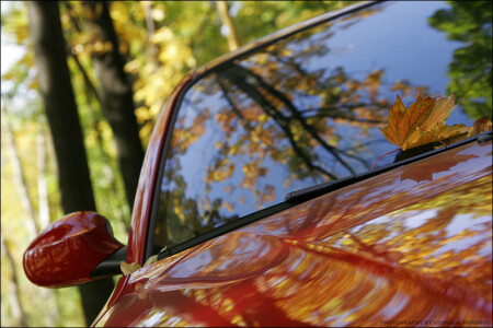 Осенние краски