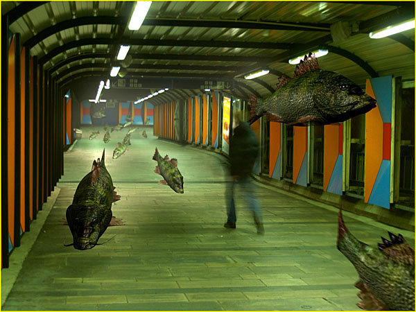 рыбы