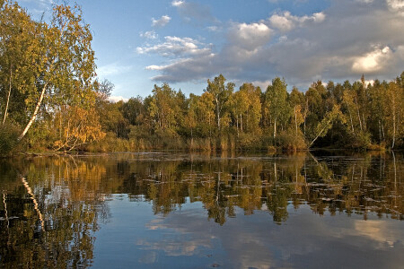 Осенняя № 1