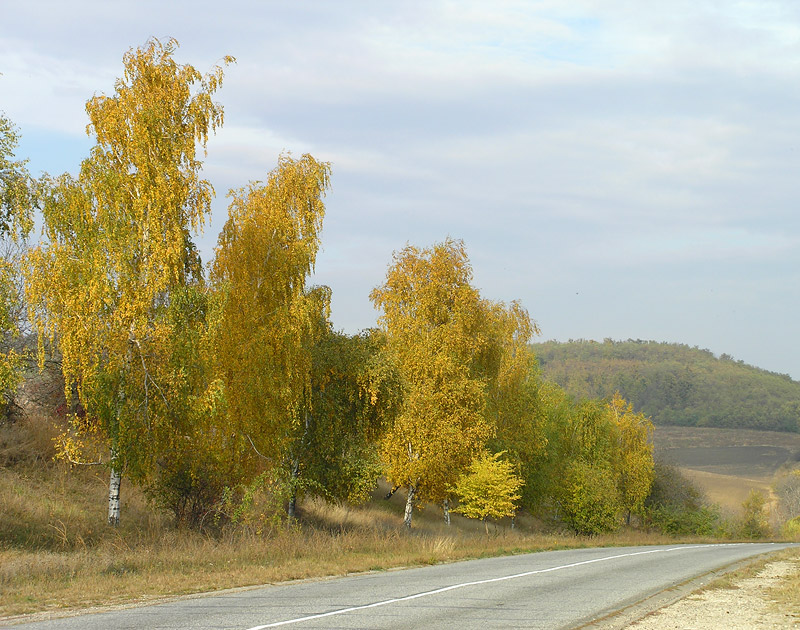 осенний пейзаж