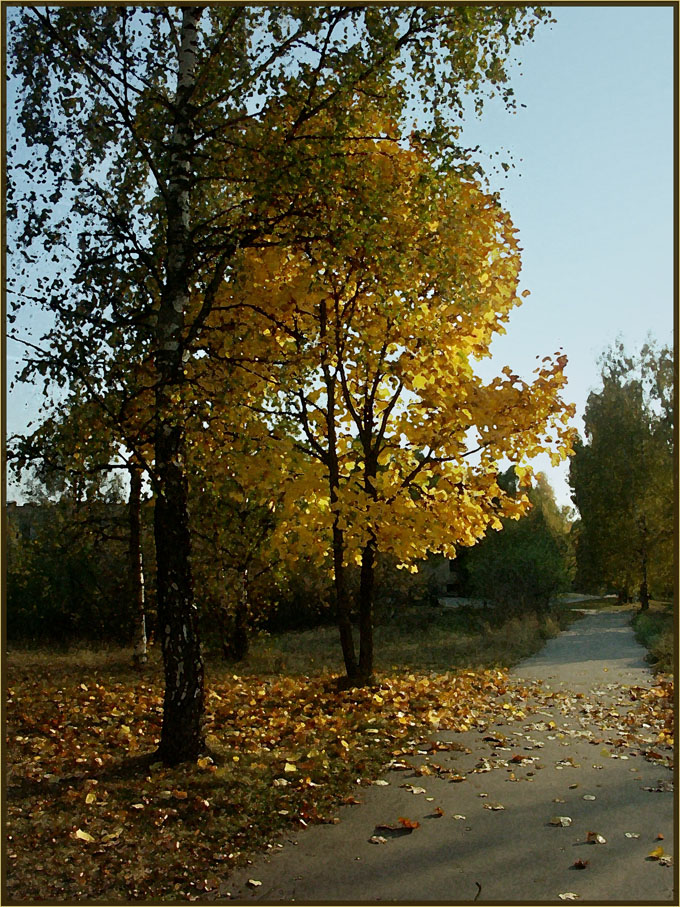 Осенняя дорожка
