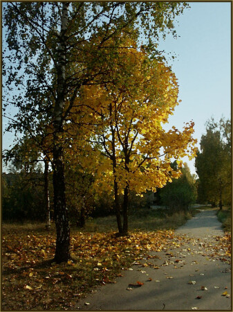 Осенняя дорожка