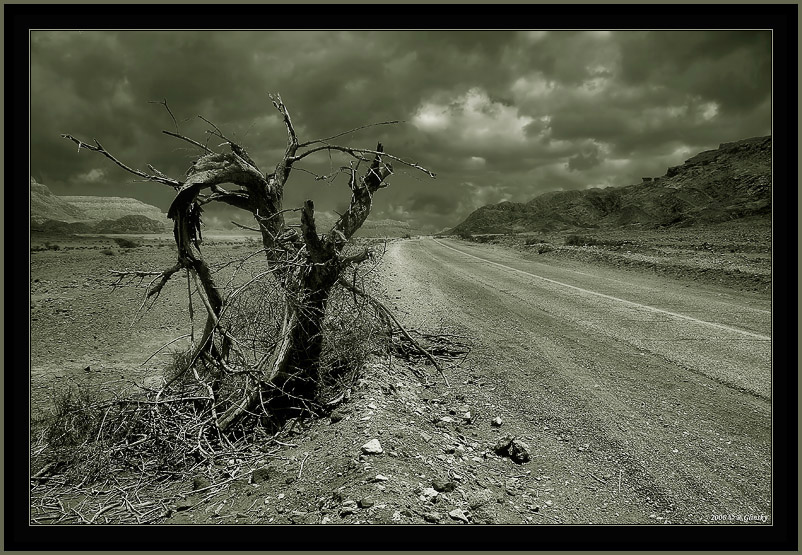 Desert road #2.