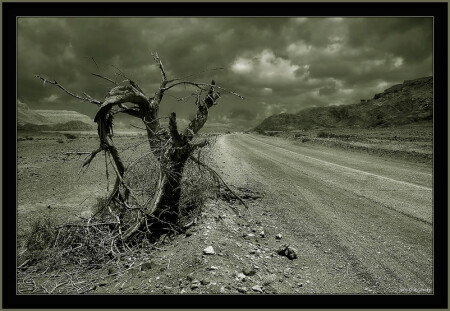 Desert road #2.