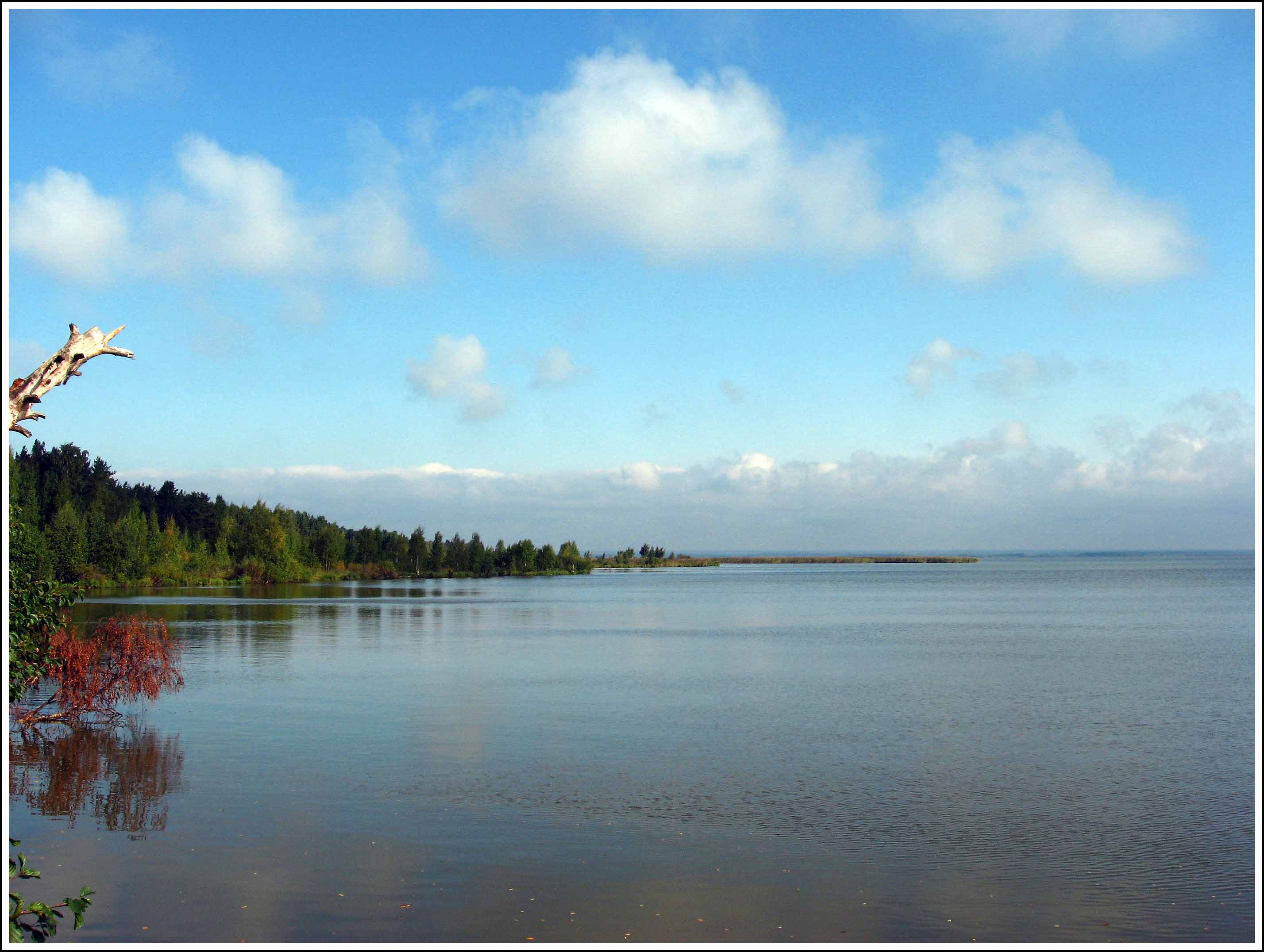 краски осени