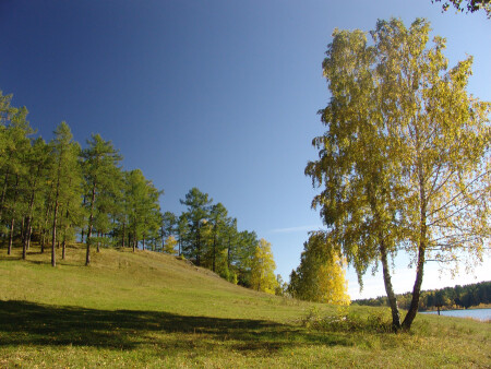 51 осень