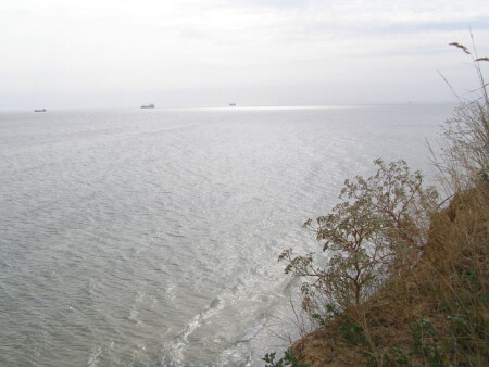 Берег чёрного моря