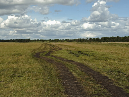 дорога