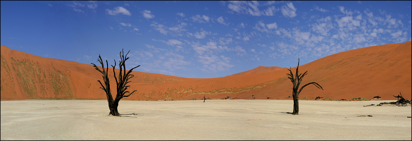 Dead Vlei at Sossusvlei, Namibia