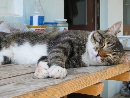 После обеда