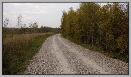 autumn's road