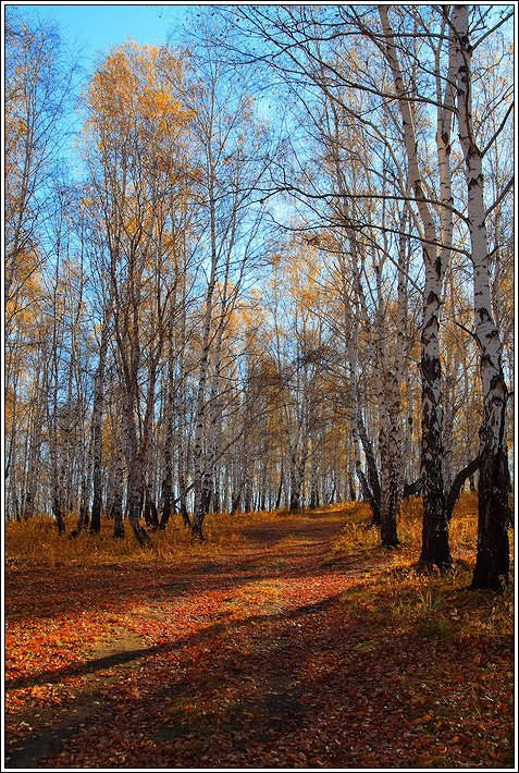 Осень 