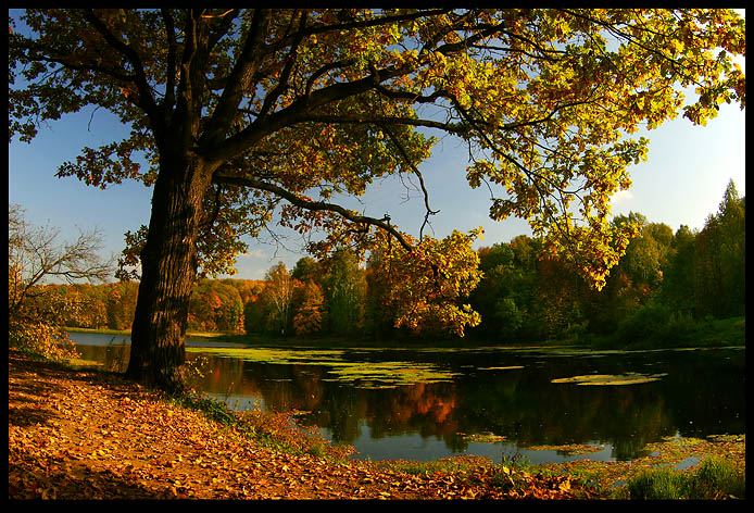 Autumn...