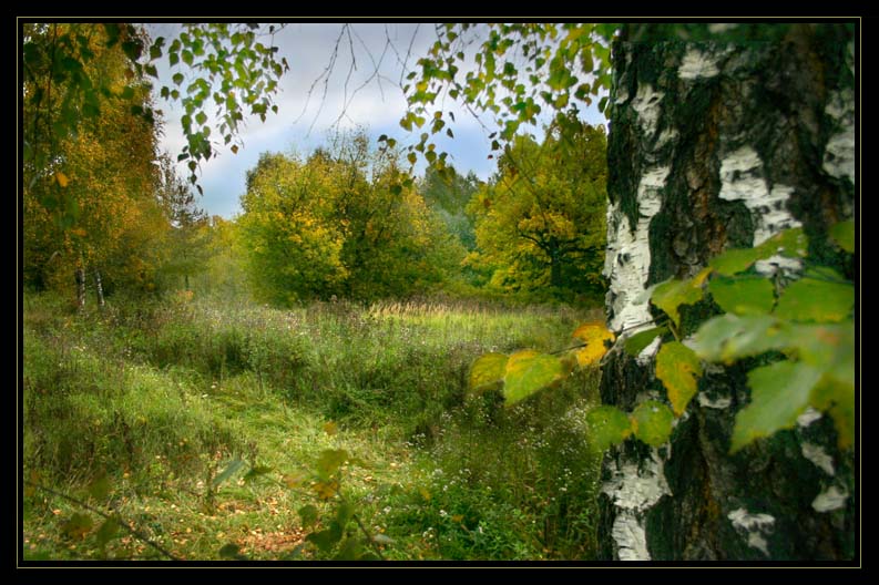 Осенние краски