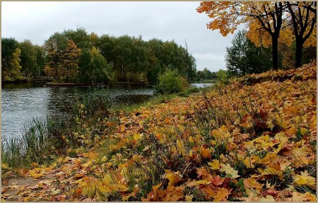 осенняя пасмурная
