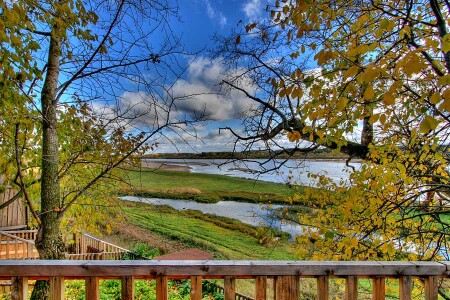 Четырнадцать.