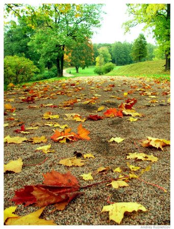 Осень пришла