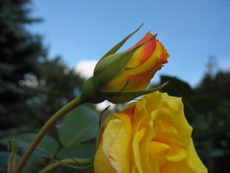 Прощай, лето....