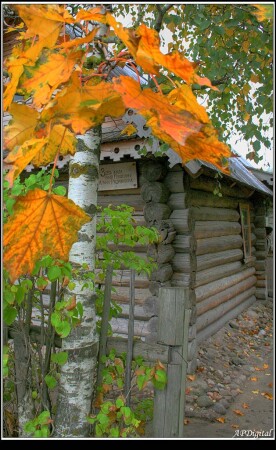 Дом Арины Родионовны