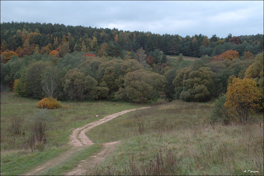 Краски