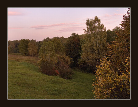 Осенний лес