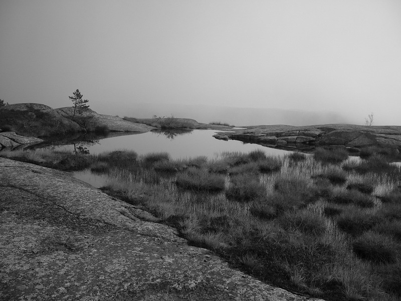 part of Scandinavia