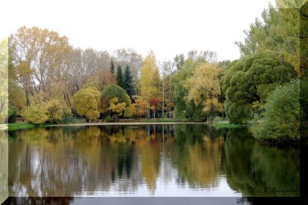 Краски осени