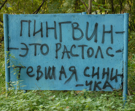 Что такое пингвин?