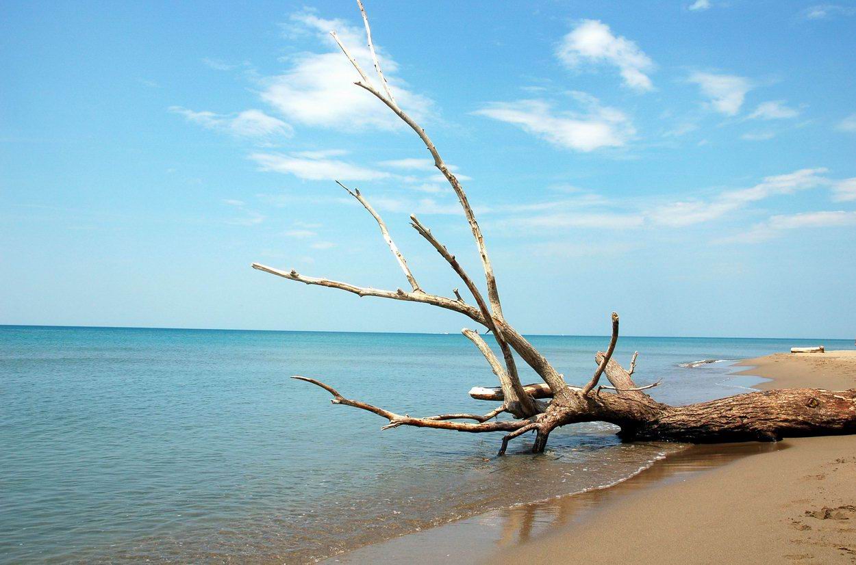 Marina d'Alberese. Maremma. Toscana.