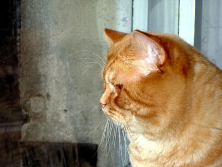 В ожидании...