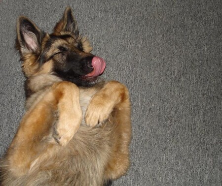 довольна жизнью