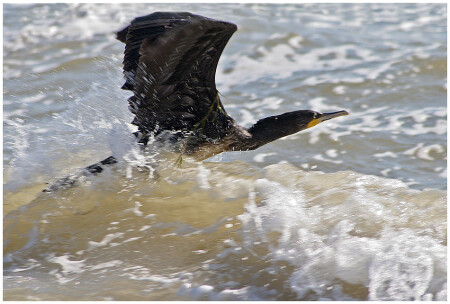 Взлет. Экстрим.