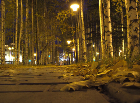 Ночная аллея с высоты тротуара.