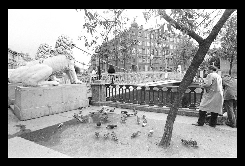 Попить пива, покормить птичек...
