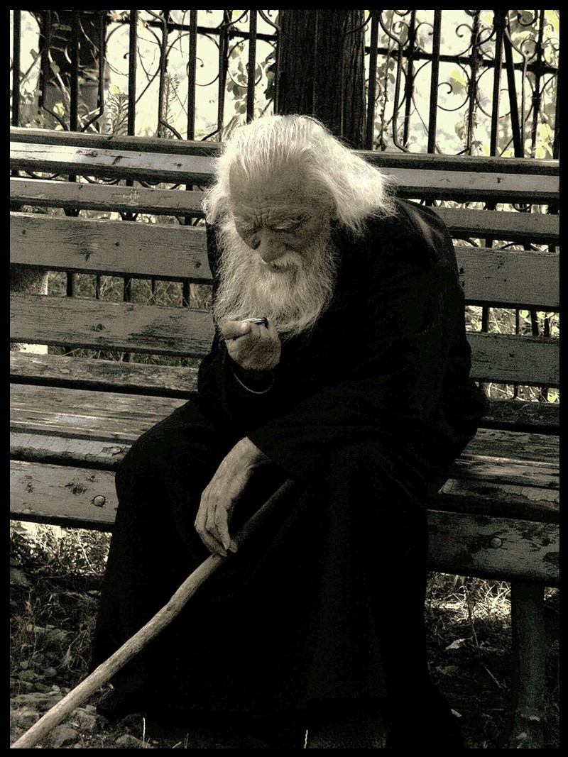 живое ископаемое