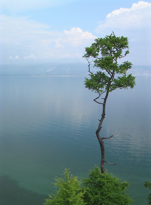 На краю