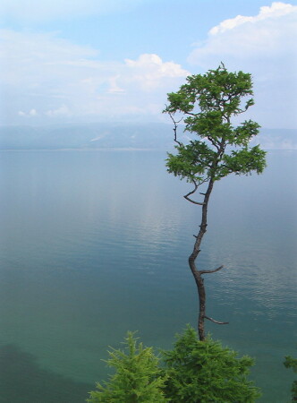 На краю