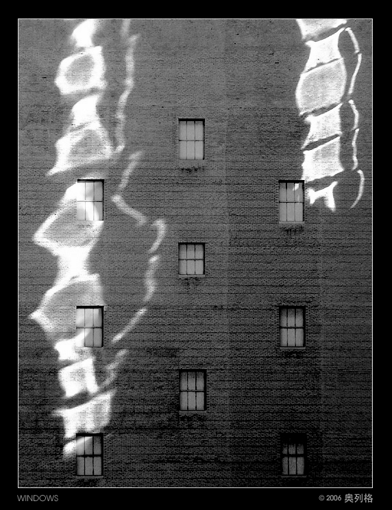 WINDOWS