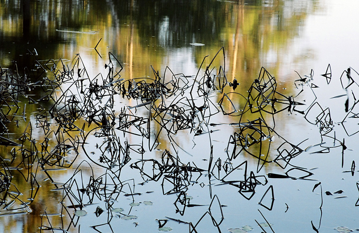 Grundy Lake