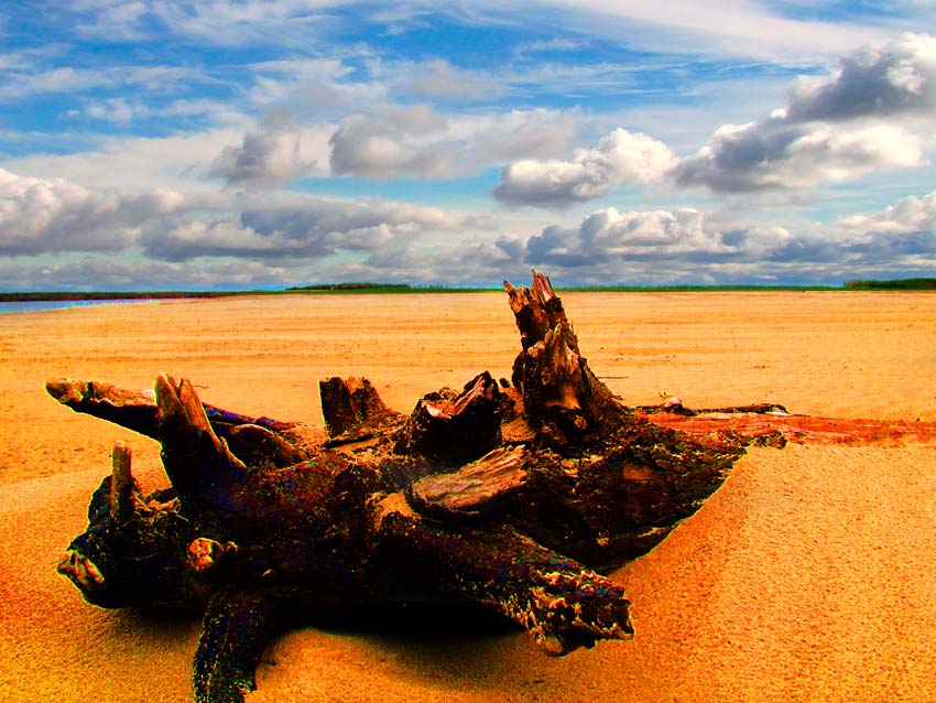 Sands
