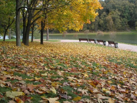 Осень в Царицыно.