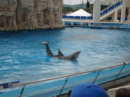 Дельфинарий.